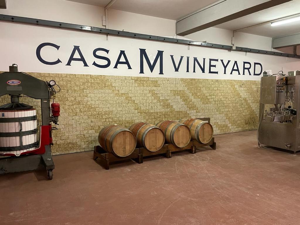 Casa M Tuscany Chianciano Terme Buitenkant foto